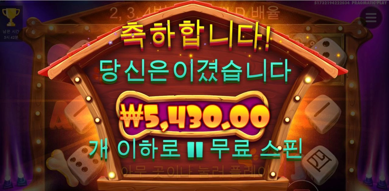 개집 다이스 20스핀만 보너스