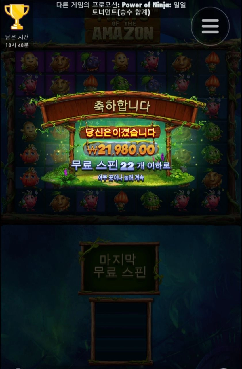 아마존 추가스핀 받으면 머해