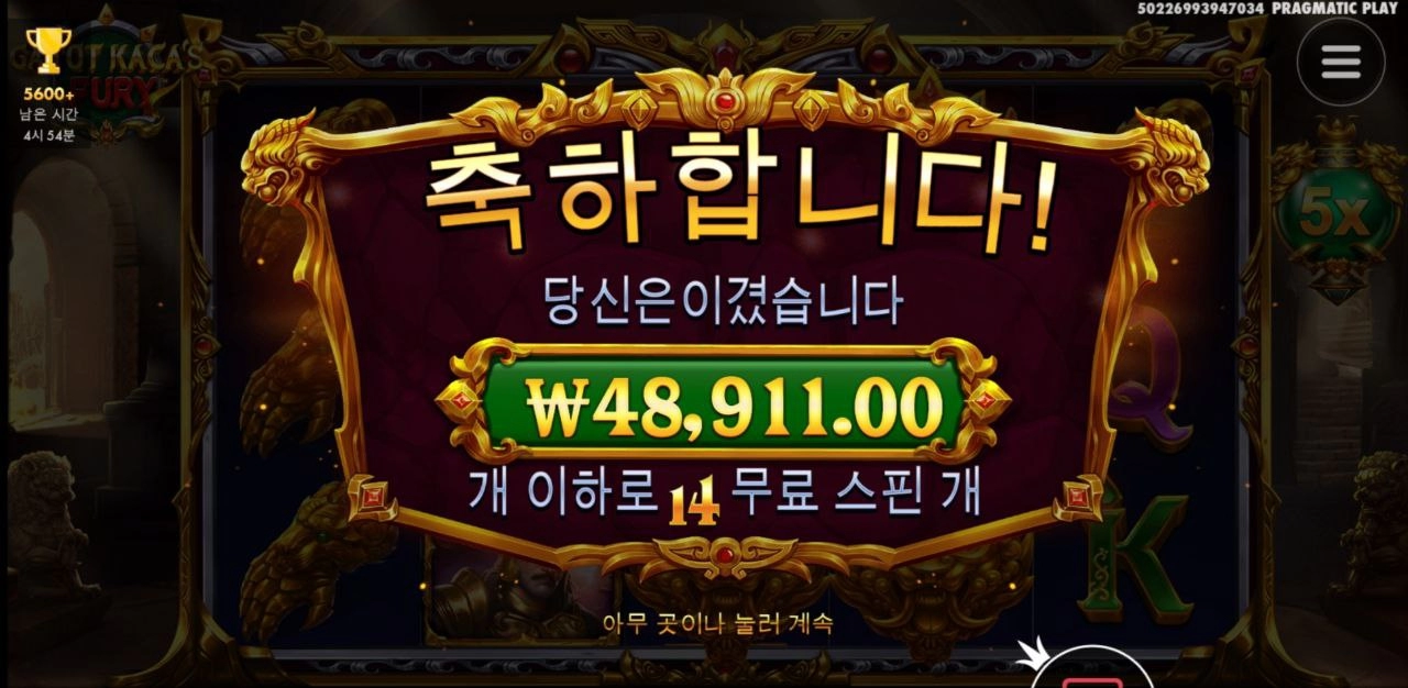 가토카카 와일드 아쉽눼