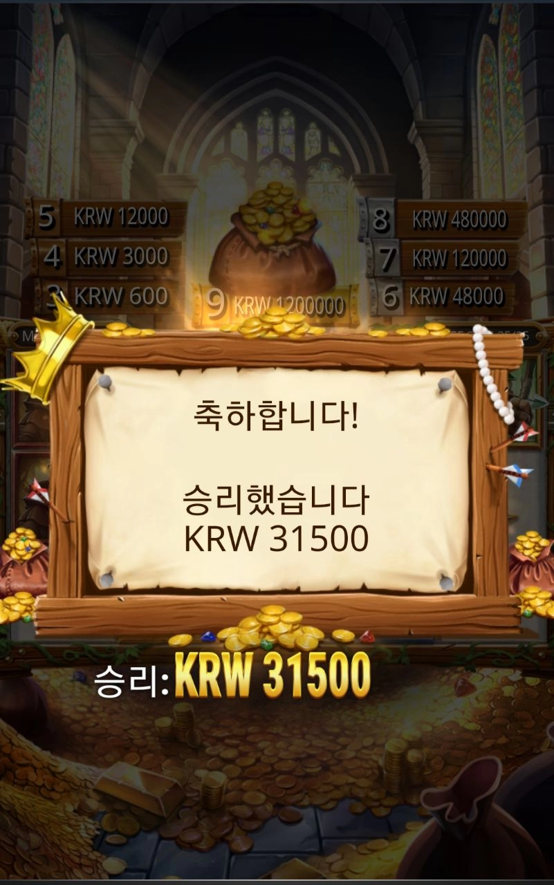 플레이엔고 셔우드 무난