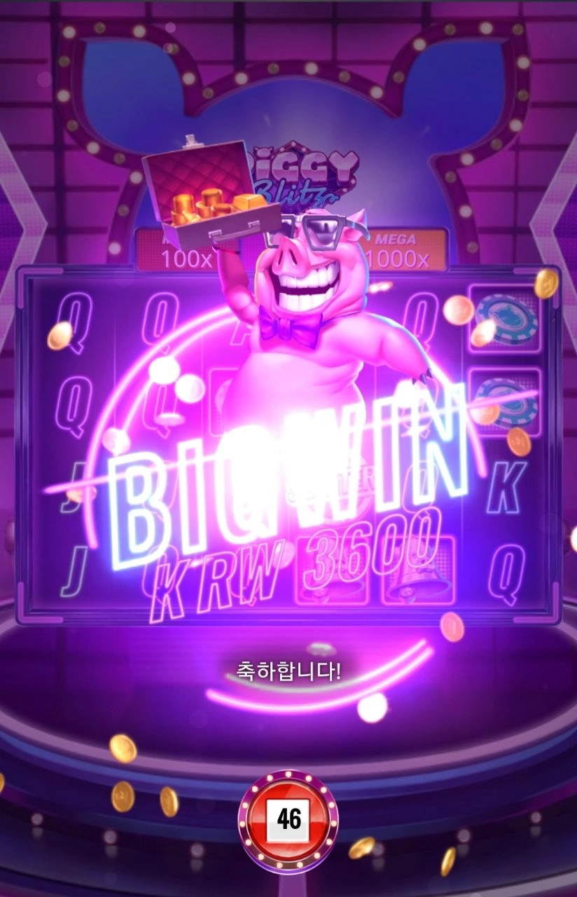 플레이엔고 피기블리츠