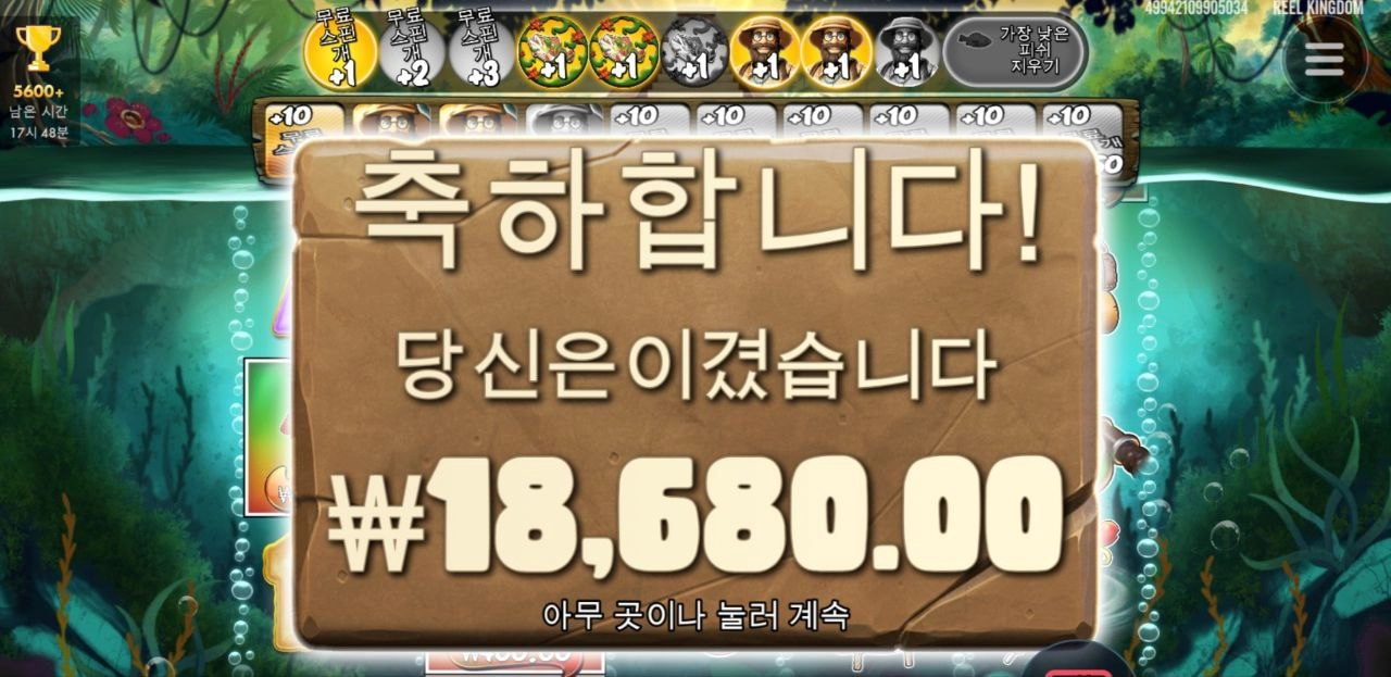 빅베스 아마존 털보 행방불명