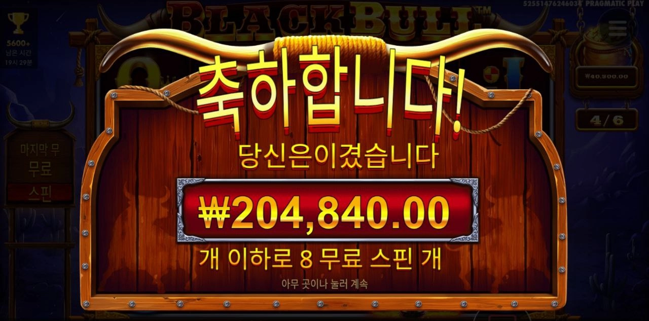 고마우이 블랙불