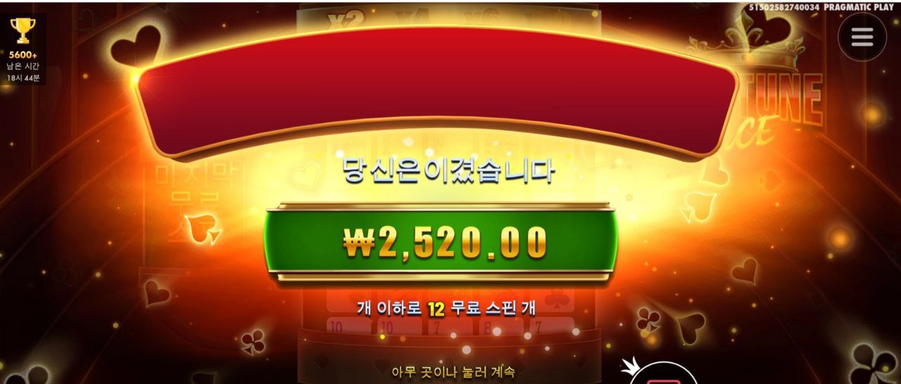 에이스 포춘 안주노