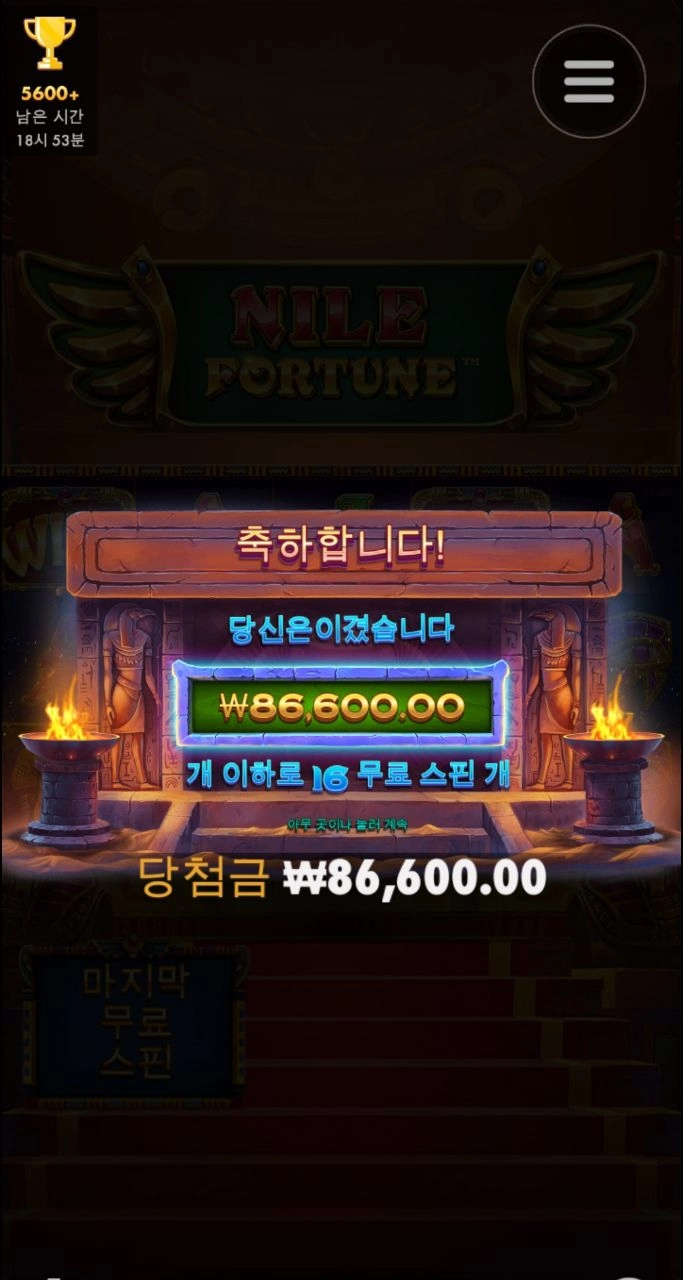 나일포춘 430배 굿