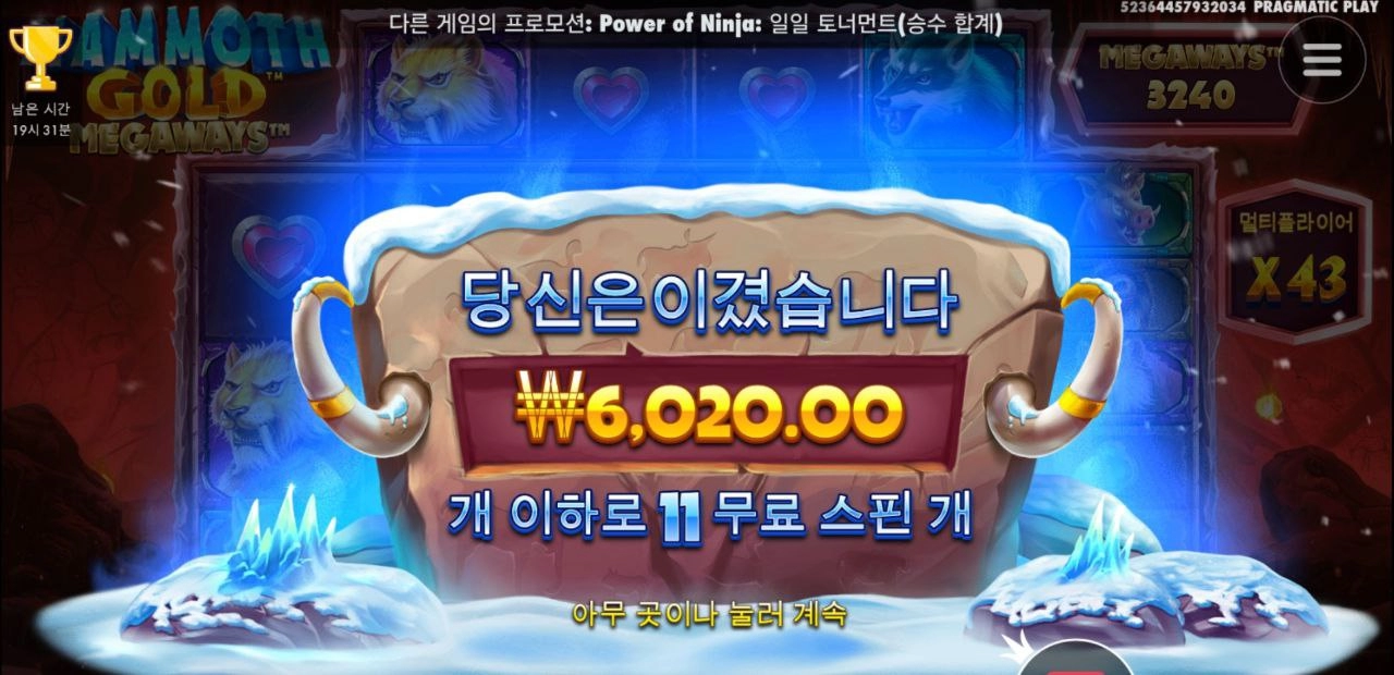 맘모스 11스핀 어렵게 올려놨더니