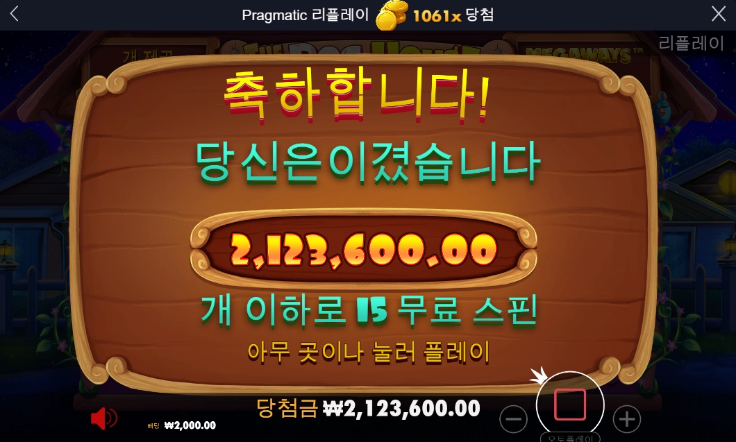 도그 하우스 후기