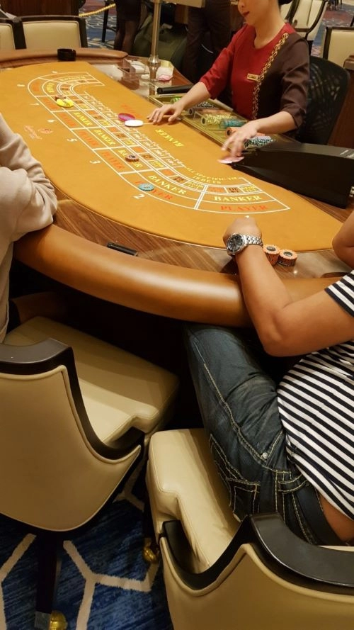 엘리트의 삶에서 카지노를 알게되면 생기는일! (4화)