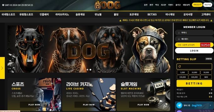 도그 (DOG) 먹튀사이트 도그 (DOG) 먹튀확정 도그 (DOG) 먹튀