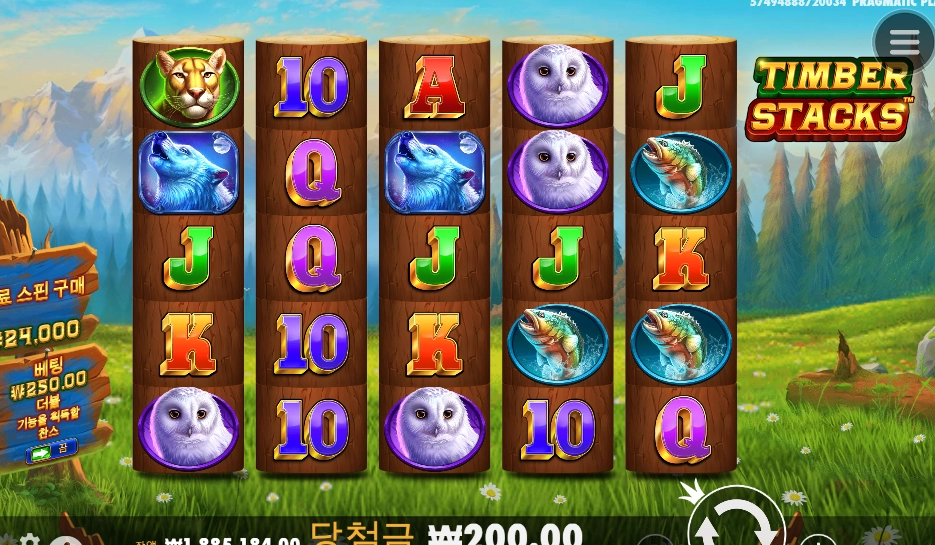 팀버 바닥 신나게 돌렸는데