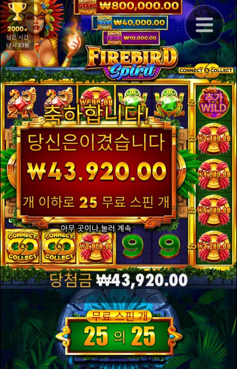 불새 커넥트 아쉽노