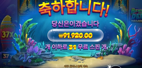 비웨어 딥 31핀 후기