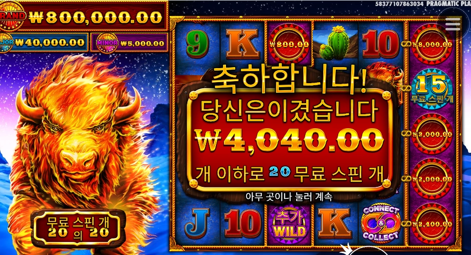 들소야 집에가자