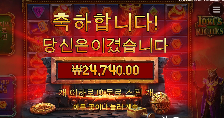 로키 4콩 돌리니