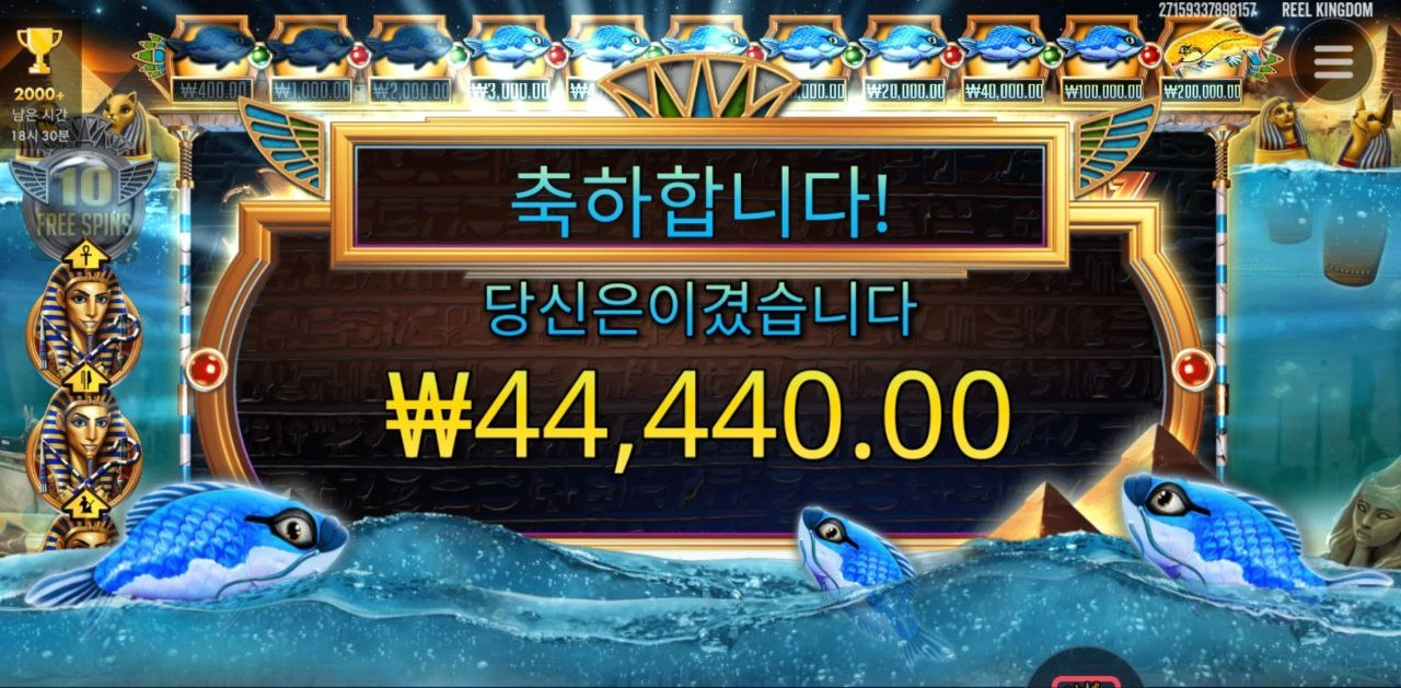 파라오 수집이 안되