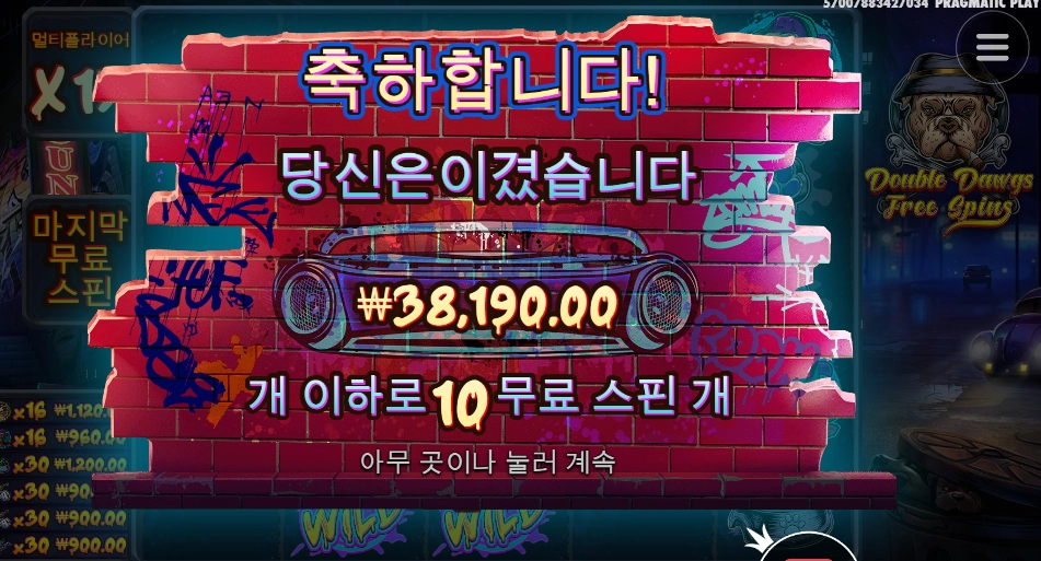 일부러 비싸게 샀는데 빅도그