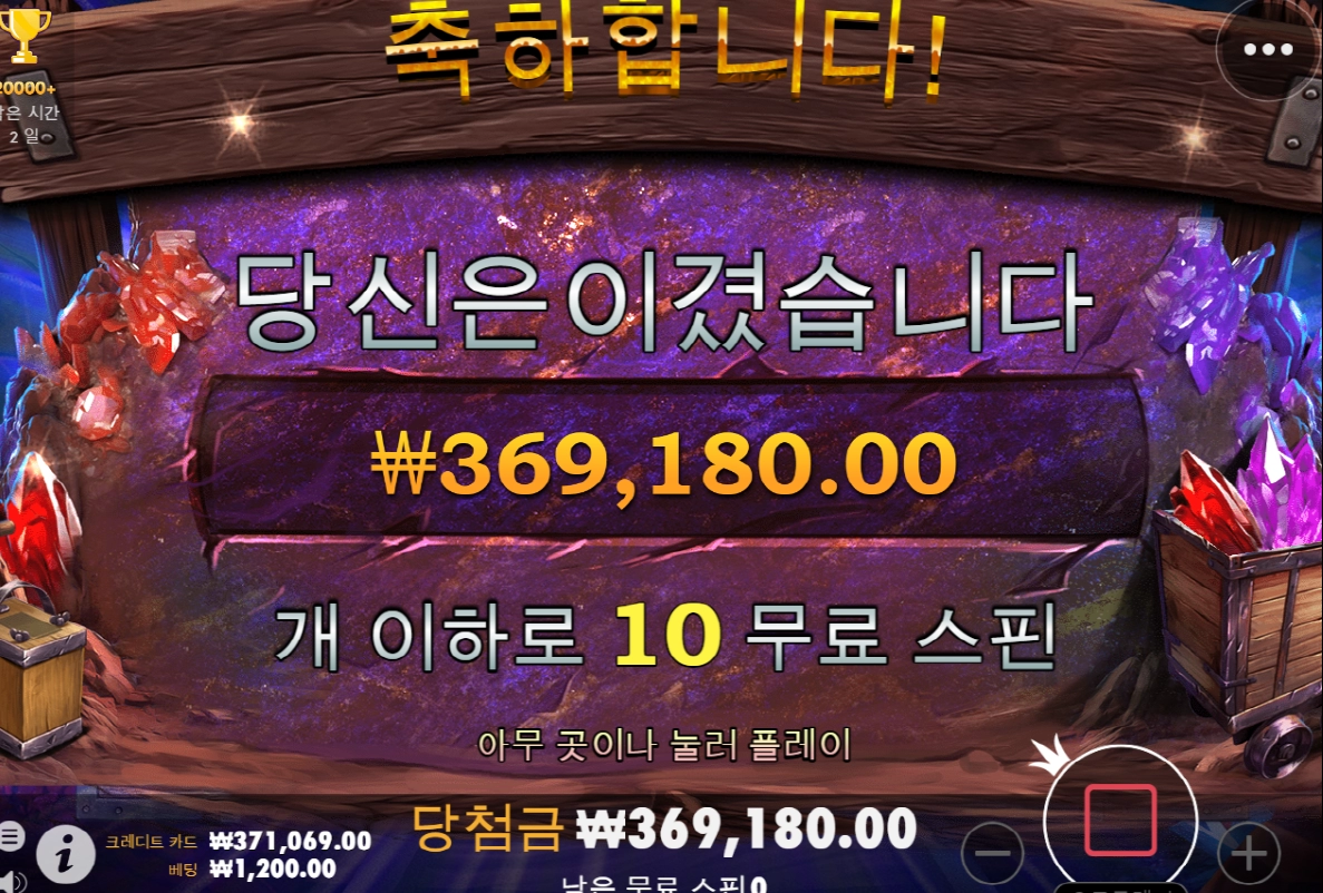 보난자 골드 후기