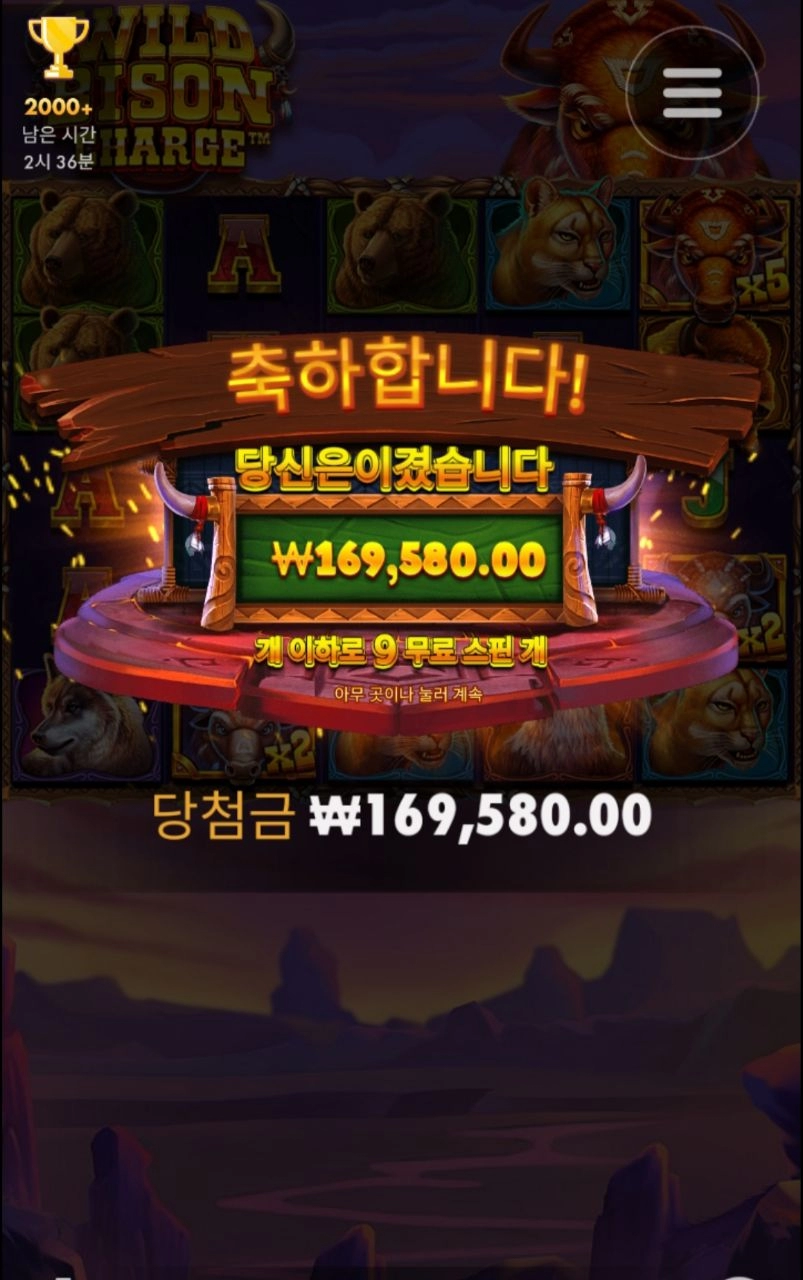 바이슨 850배당 굿굳굿