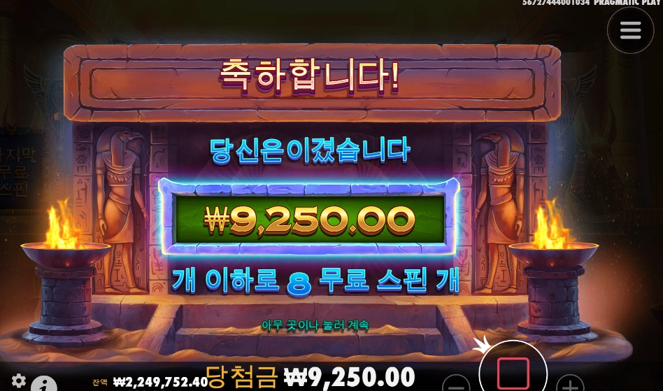 이집트에서 데려온 고양이 얼마라구요?