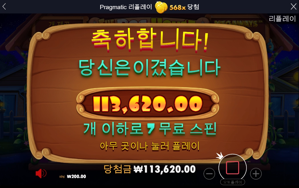 도그하우스 후기