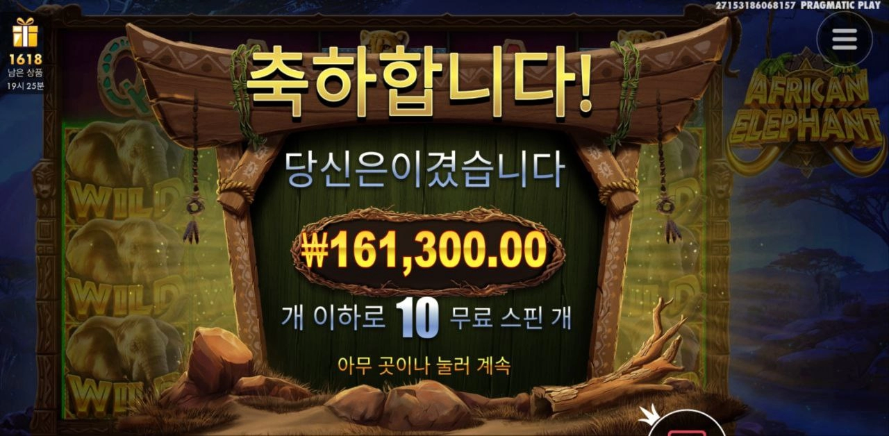 코끼리 800배 ㅅㅅㅅ