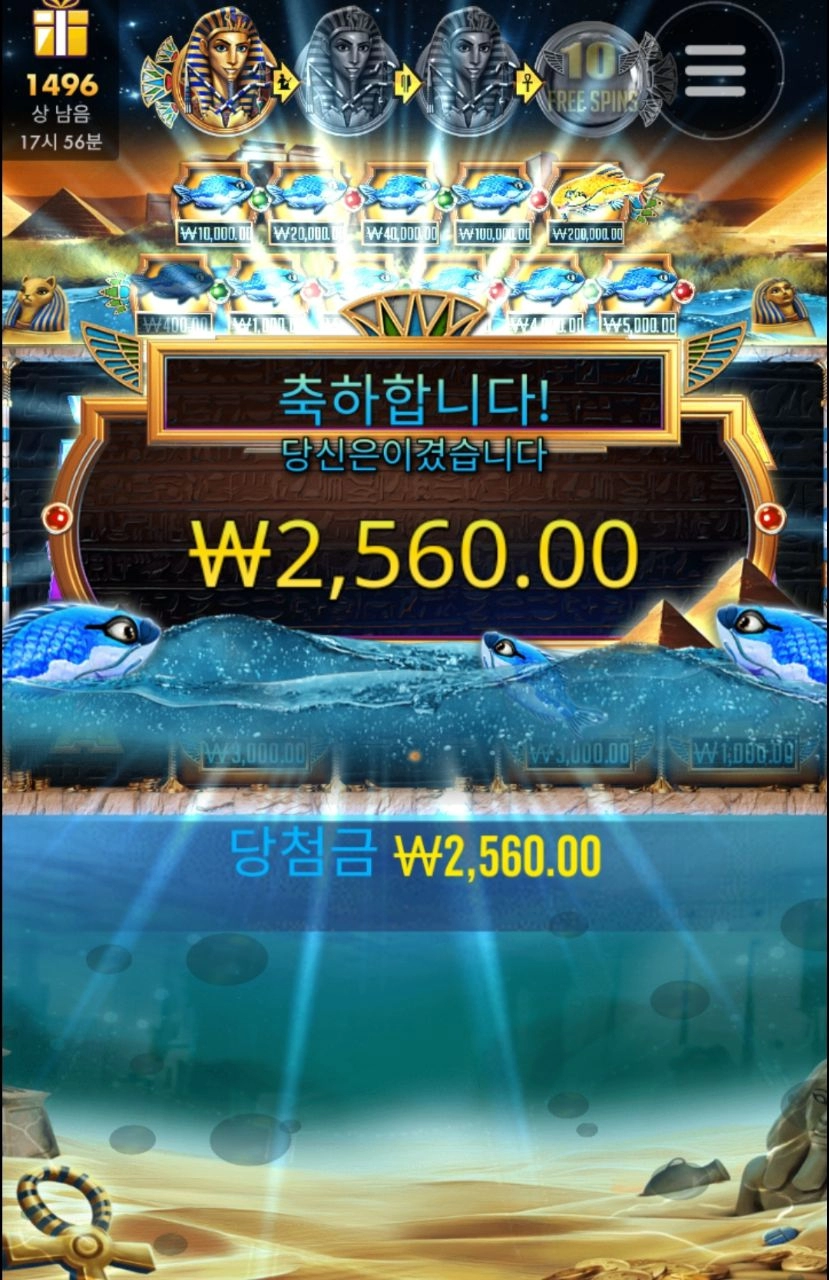 파라오 클레오 다 어디루?