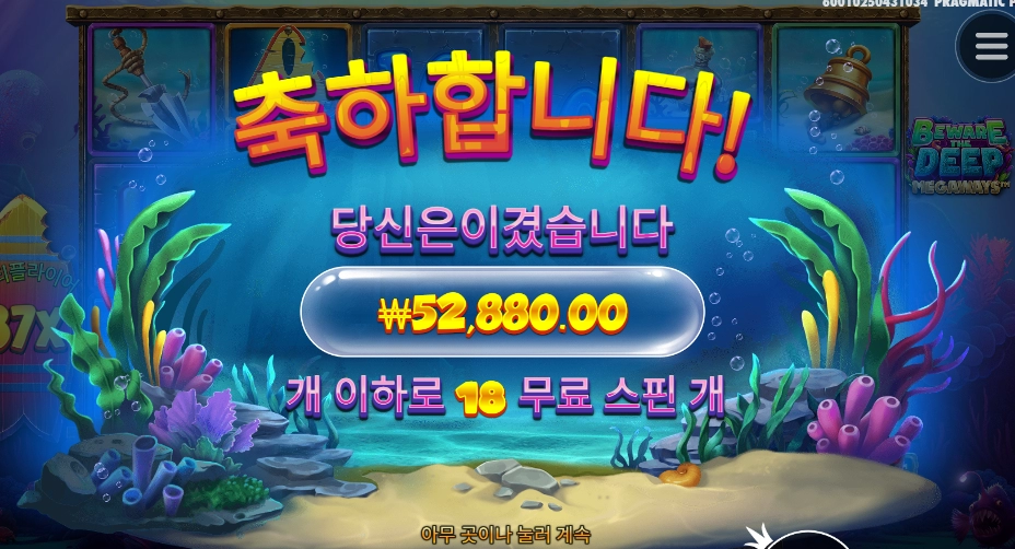 비웨어 5콩 나이쓰