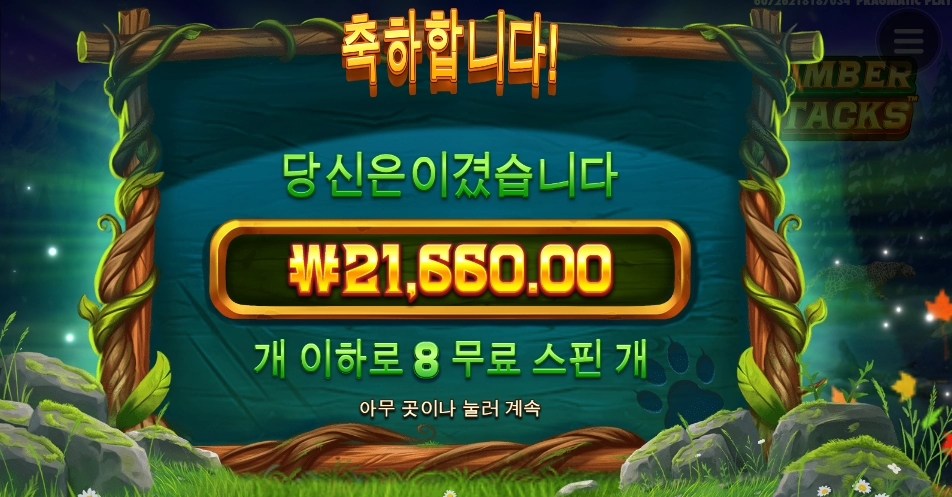 팀버 스핀 구매