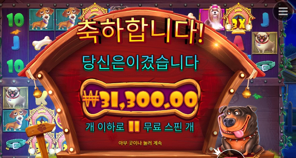 개집 멀티 3콩 나이쏘~