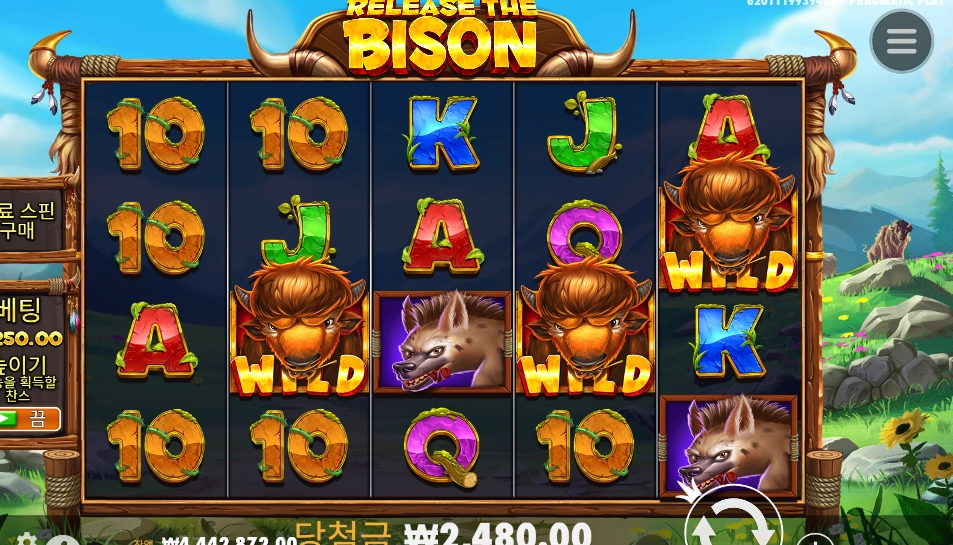 바이슨 2천원 장난빠나