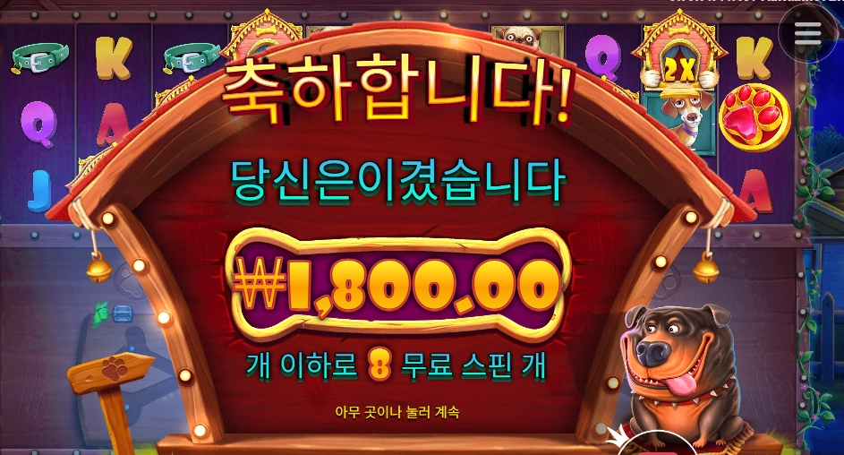 강아지를 좋아하지 않습니다.