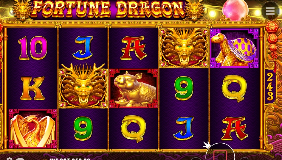 포춘 드래곤 바닥