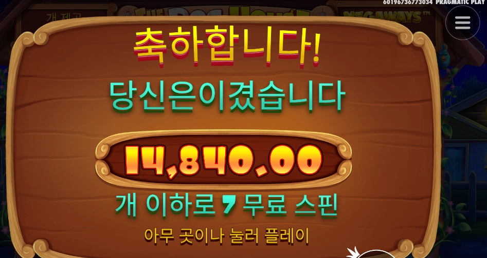 개집 스티키 와일드