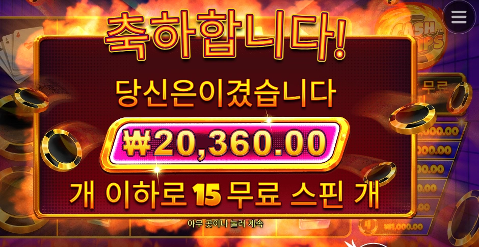 다시 봤어 캐시칩스