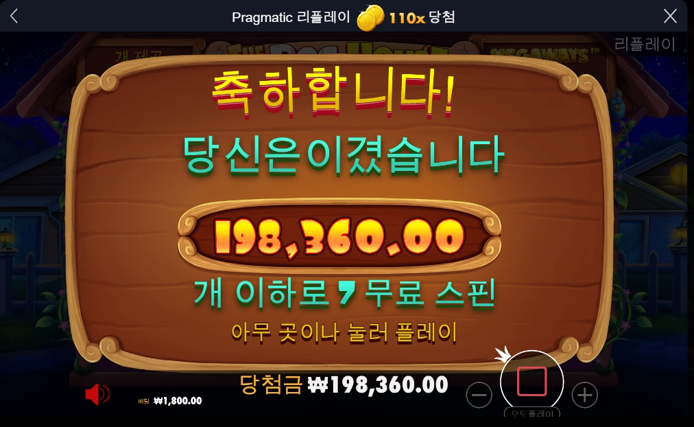 도그하우스 후기