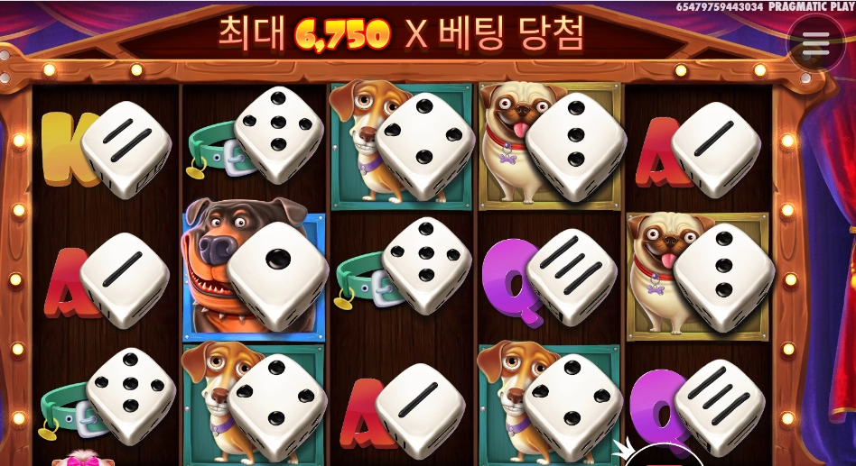 도그 하우스 다이스 쇼 바닥