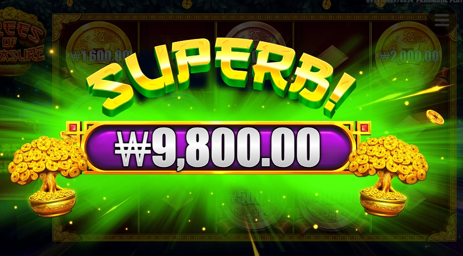 돈나무 키우세요