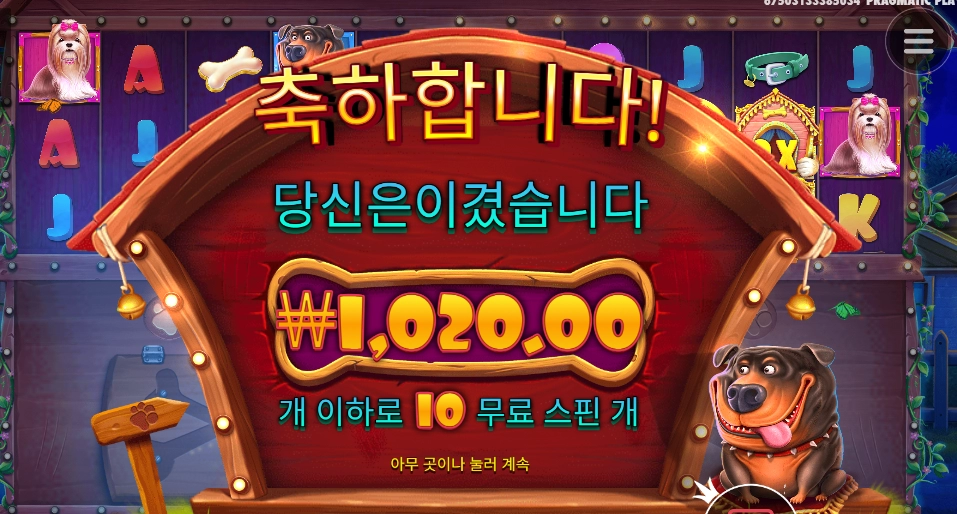 애완동물 싫어요