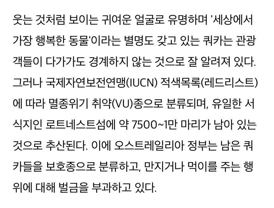 세상에서 가장 행복한 동물