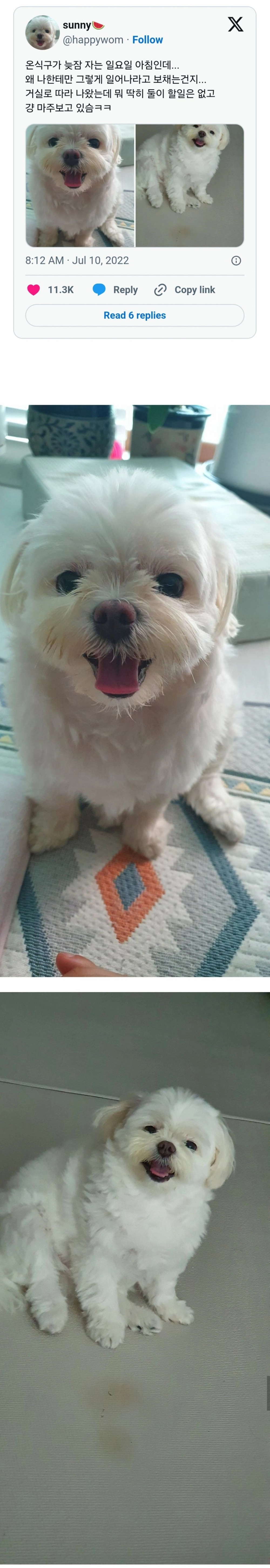 온식구가 늦잠 자는 일요일 아침인데