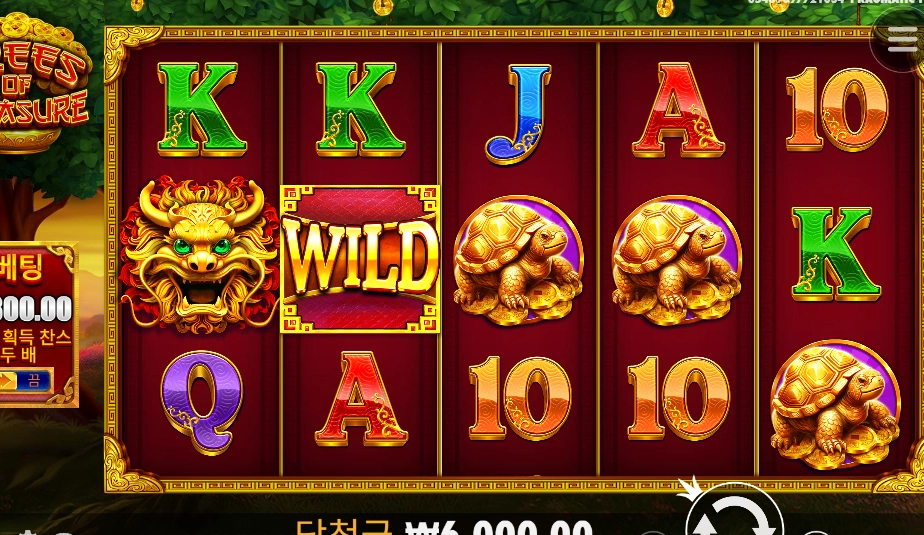 돈나무 바닥시전