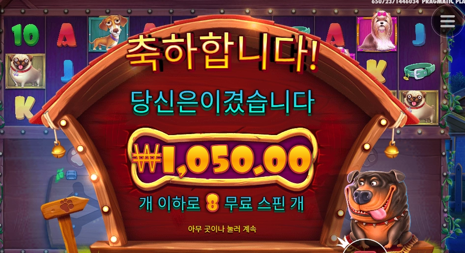 개집 오늘 철거갑니다.