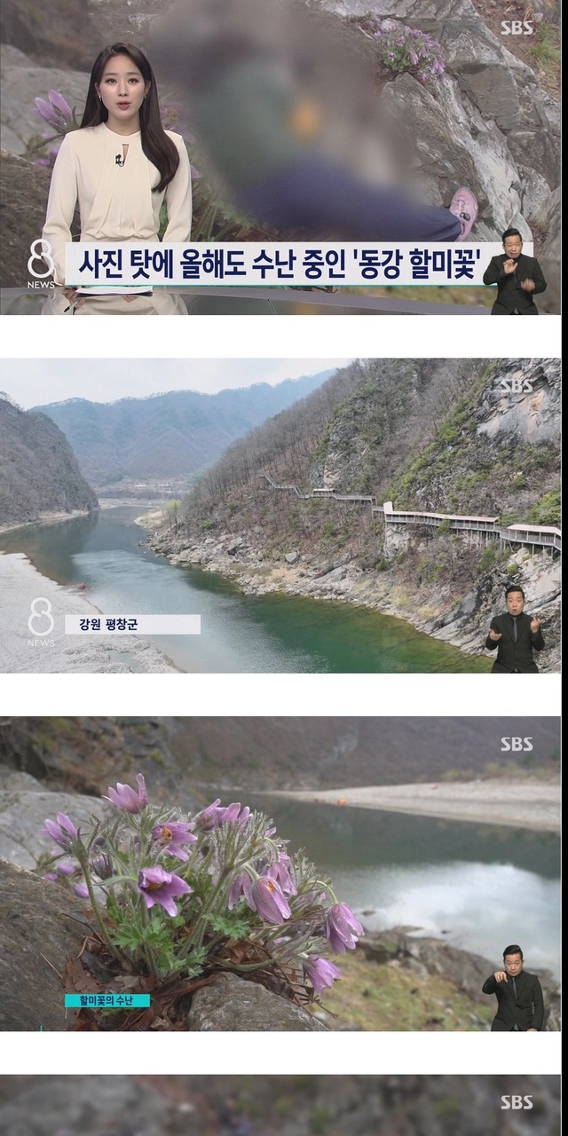 사진 작가들이 사진 찍고 훼손하는 이유