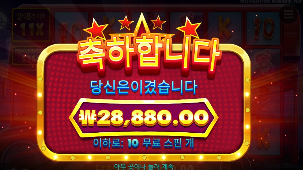 버스가 외롭지 않겠엉