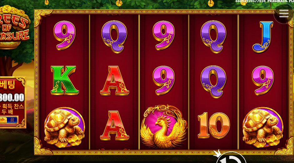 이름만 돈나무 아니지