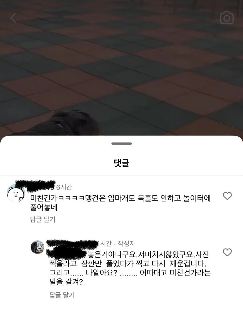 맹견을 어린이 놀이터에 푼 어느 미친견주