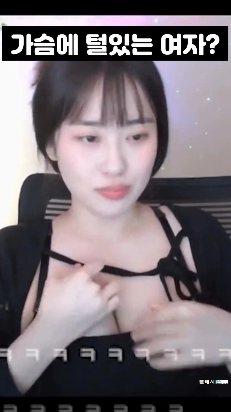 넣어 보고 싶은 소람잉