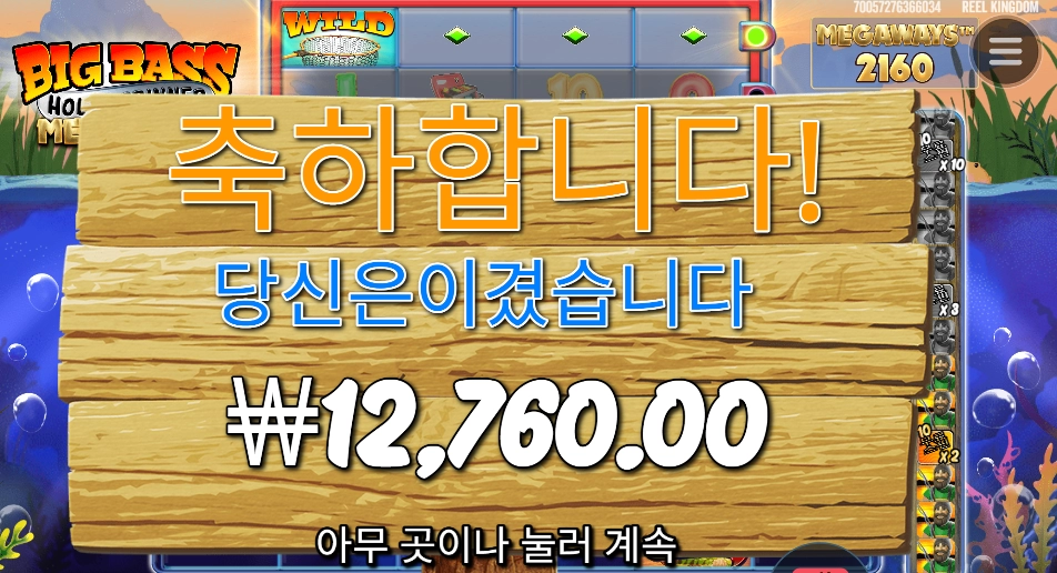 물고기들이 자나보다