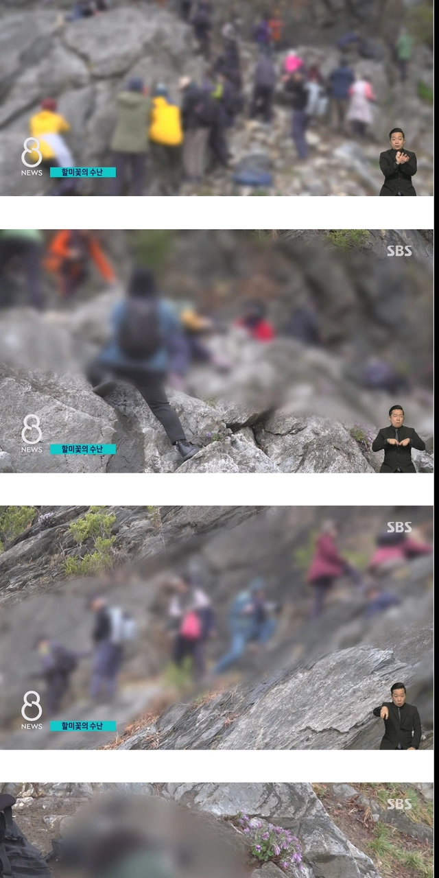 사진 작가들이 사진 찍고 훼손하는 이유