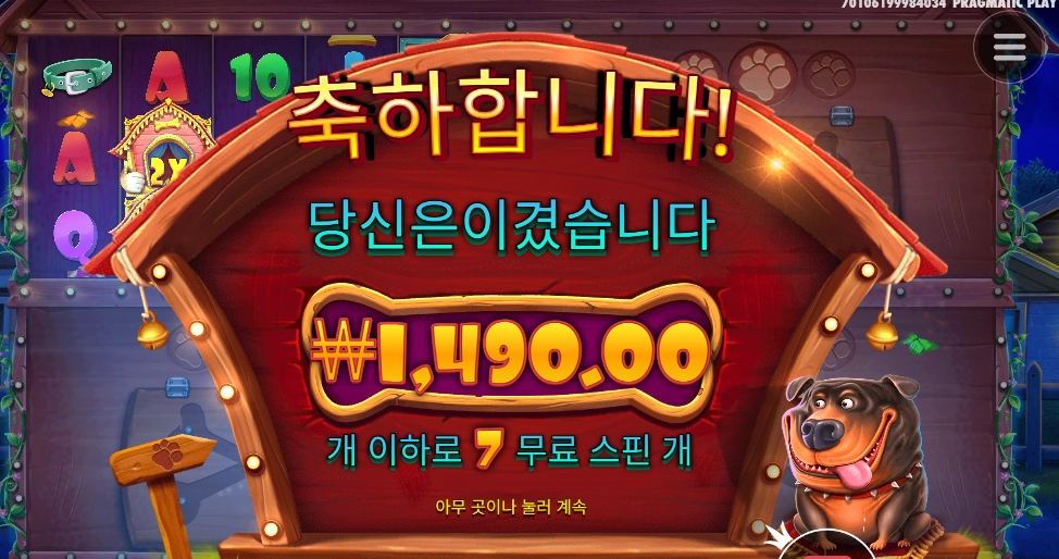 개집이 여러개면 뭐하니